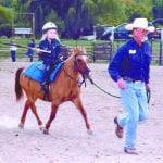 article image -